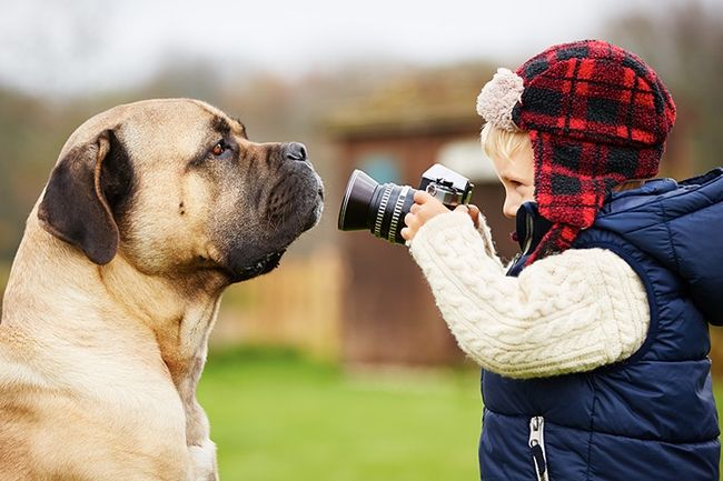 fotografia de animais de estimação