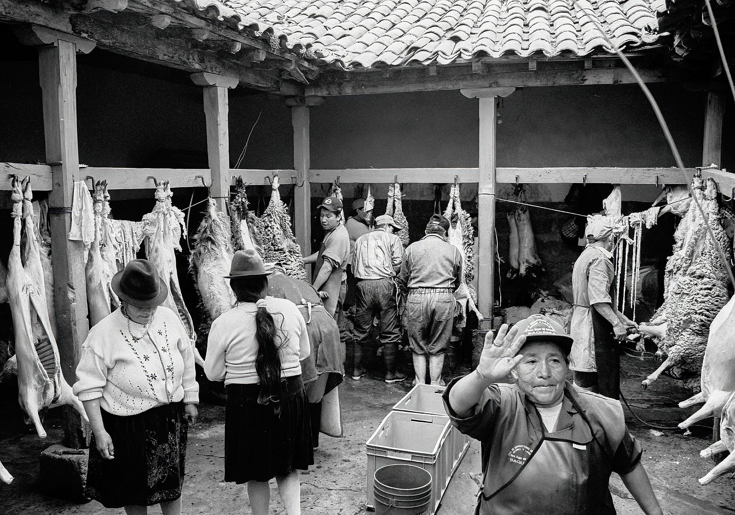 Ecuador | 2003