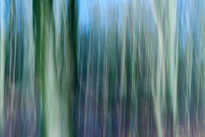 Abstracte natuurfotografie (4 juli 2026)