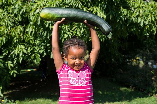 IM HEKS-GARTEN BURGDORF