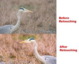 Retouching the photographs