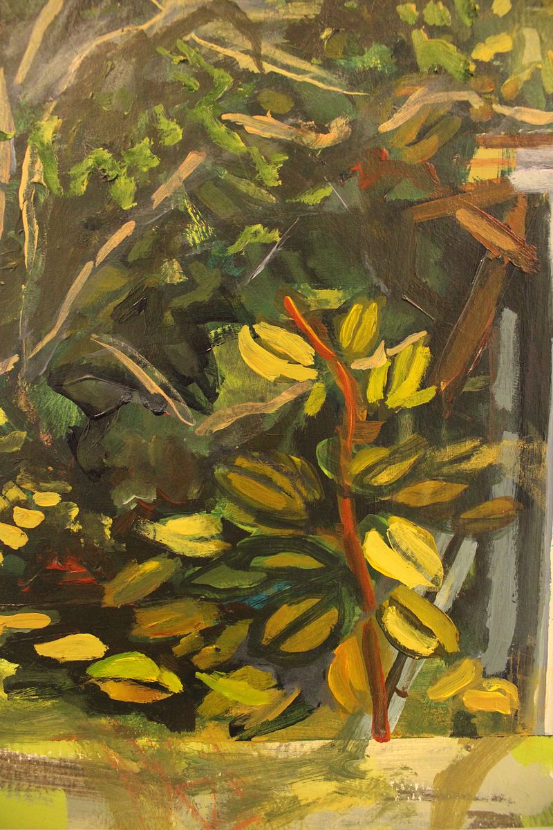 early spring morning