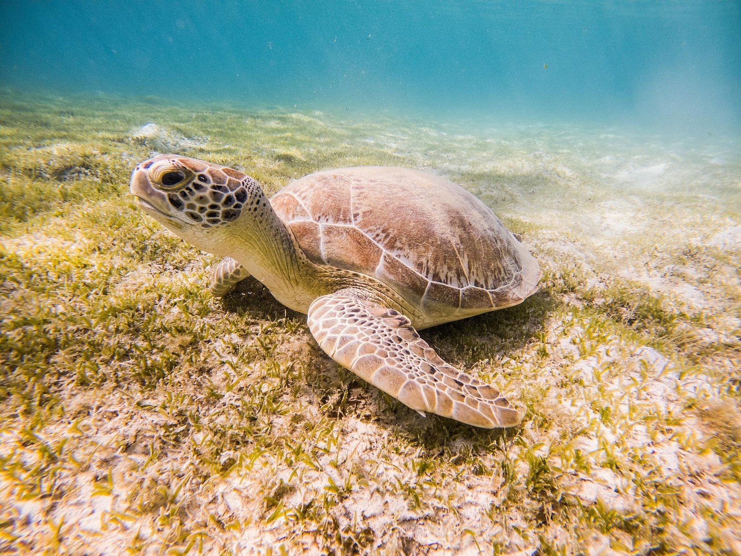 USVI.Photos