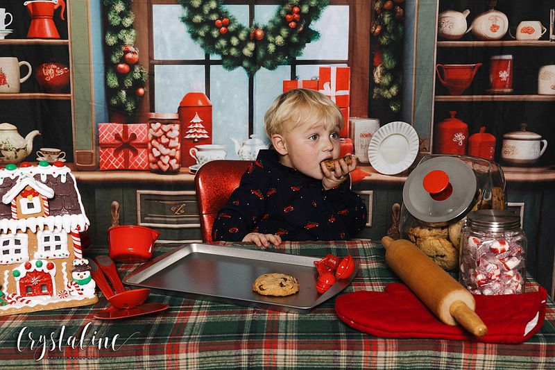 Holiday Mini Sessions 2025