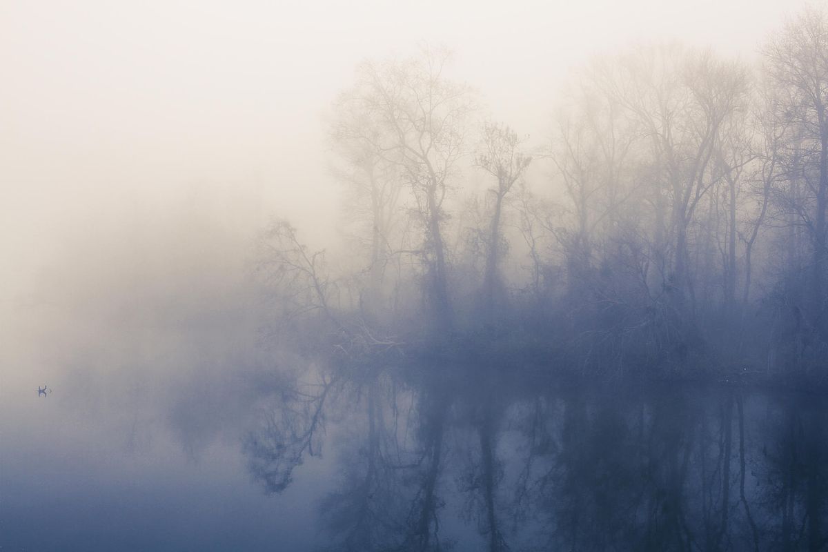 "Hazy Morning on the Broad" - Winner of the 2018 Congaree Riverkeeper Judge's Choice Award  (Columbia, SC)