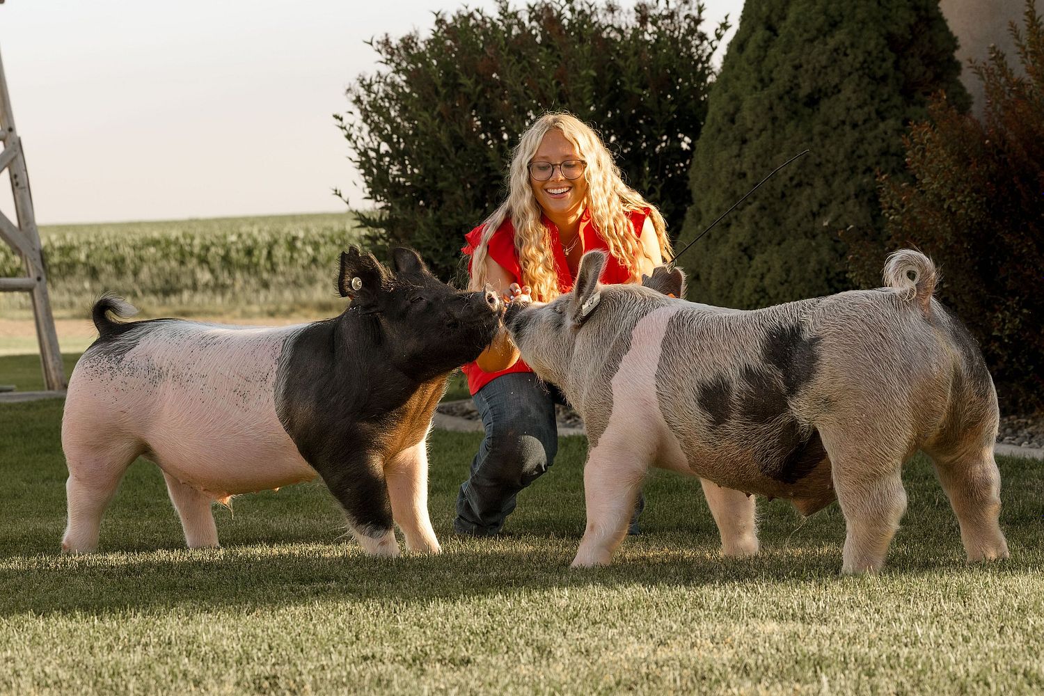 Kate Hulsey Photography