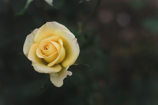 Which is your common mistake?