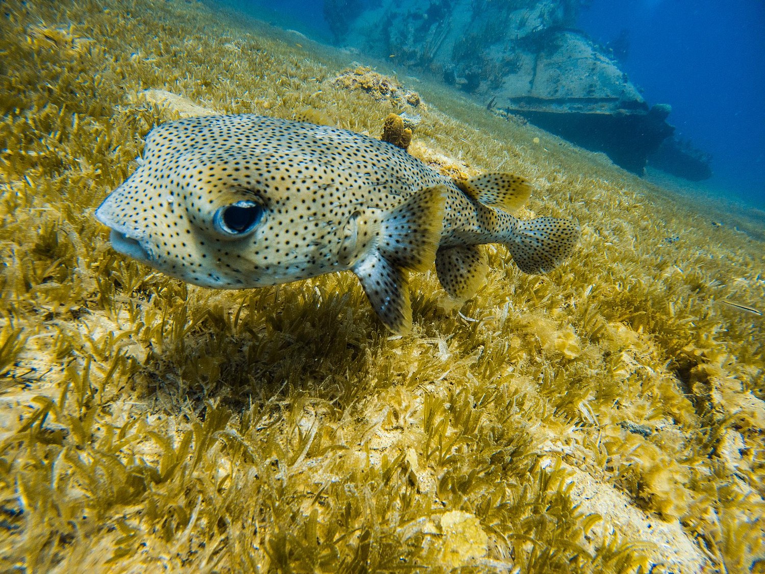 USVI.Photos