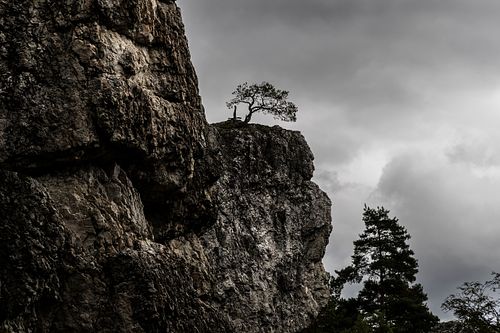 Der grosse Pfahl bei Viechtach