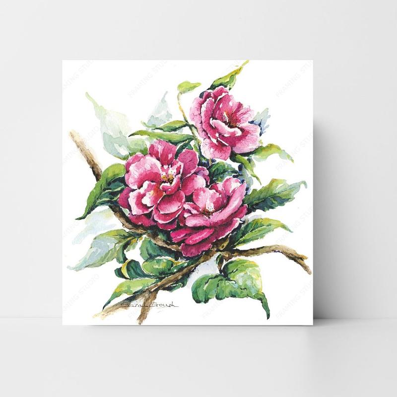 Pink Camellia Flowers