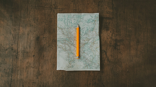 Consultation + Organizational Support