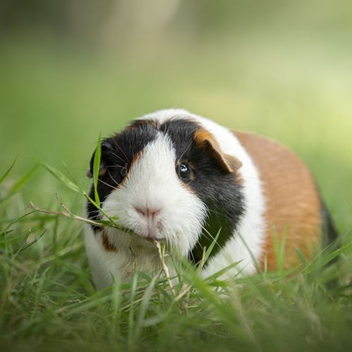 Een extra foto t.w.v. &euro;20