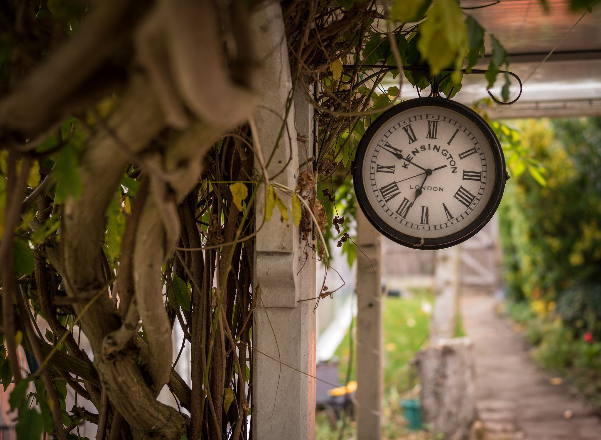 The Timeless Story – £1,495