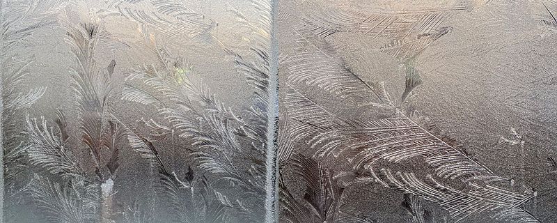 Stengt i dag på grunn av sjukdom