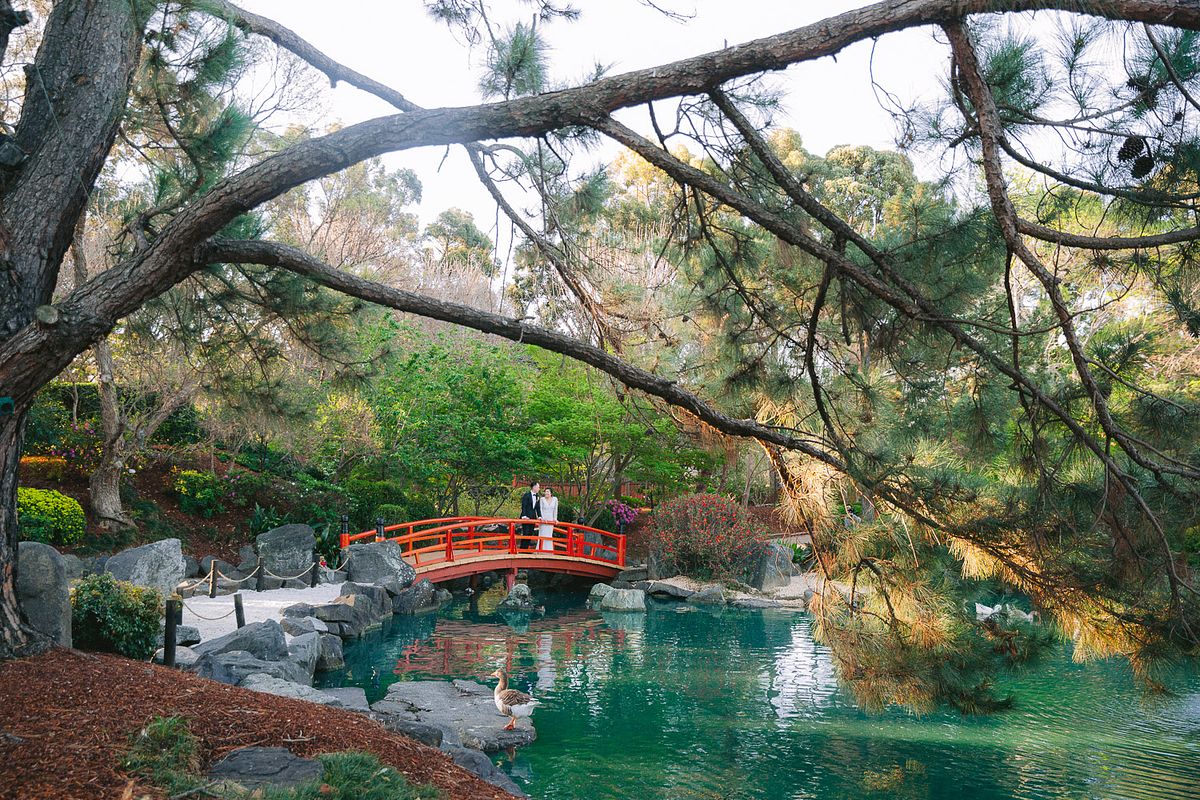 Wedding Photo at Japanese Garden