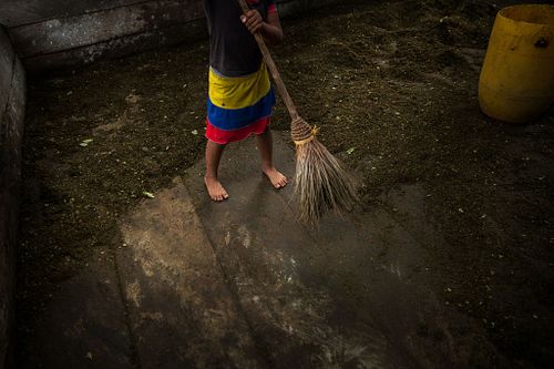 COCA: COLOMBIA'S BURDEN