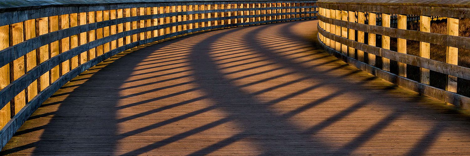 Bright Fame Photography