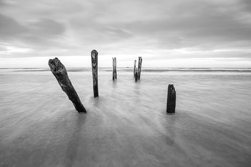 Black & White, monochromatic, tonal, texture, minimalist, ocean, wave, shore, sand, foam, tide, splash, soft, beach, sky, cloud, Saint Clair, Dunedin, New Zealand, Otago, peninsula, surf, pylons, pier
