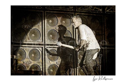 Horizontal color image of Eddie Van Halen performing live with electric guitar in front of a wall of EVH speaker cabinets