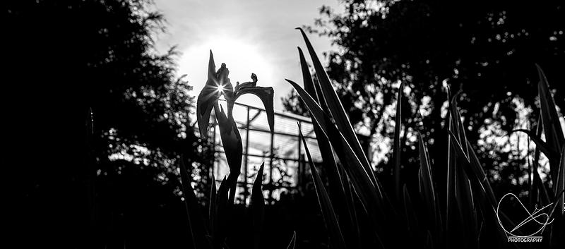 På oppdrag måndag 27. oktober