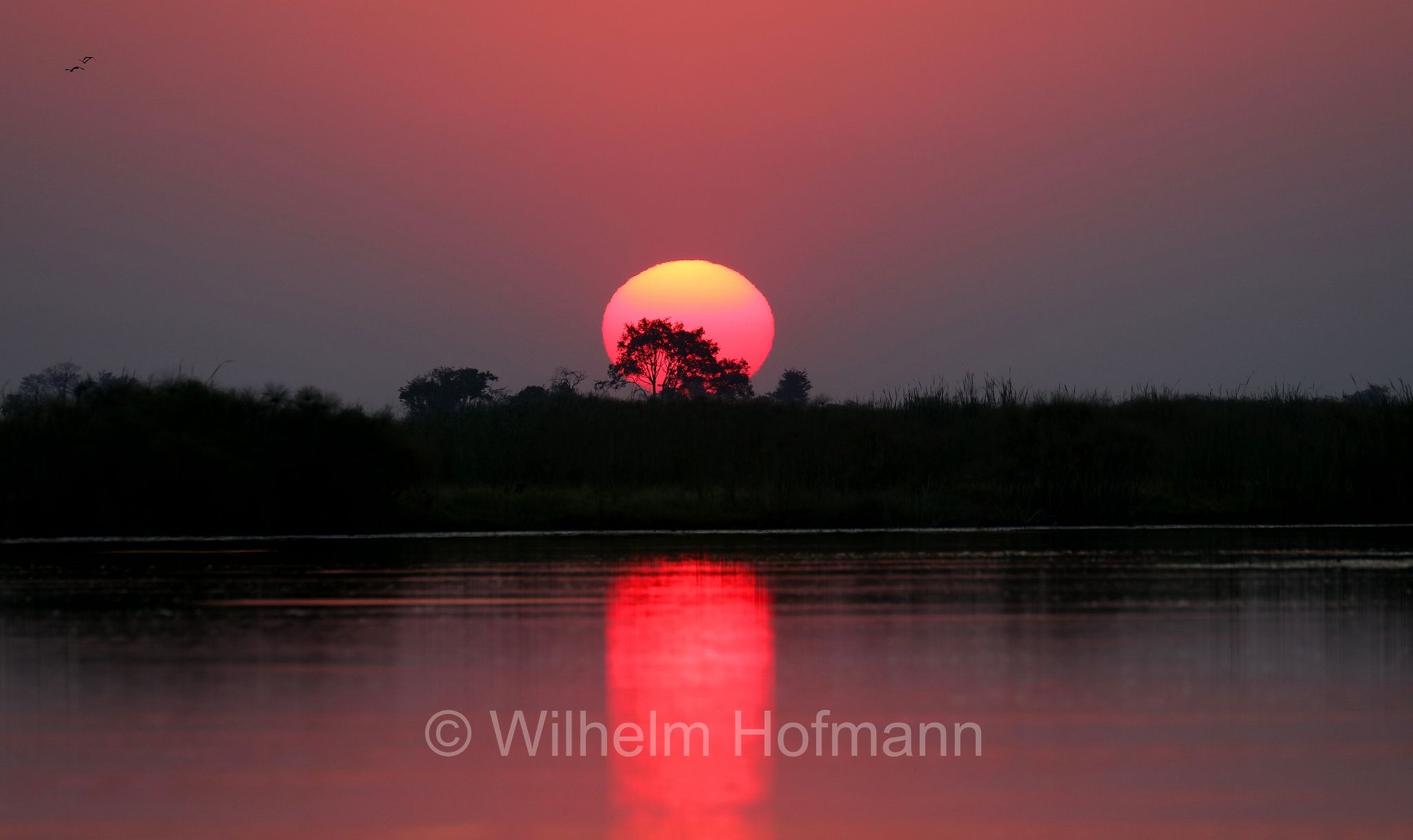 Okavango Delta, Okavango Grassland, Botswana, Republik Botsuana