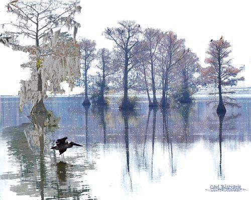 lake in fall, japanese style art, pelican flight