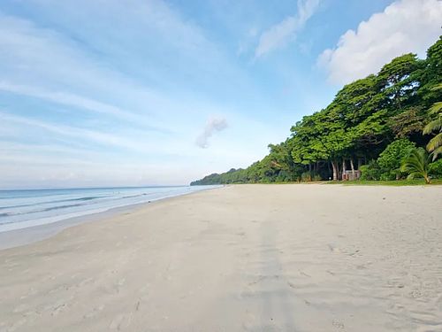 Another one of our tropical beaches more crowded with memories and trees than people.