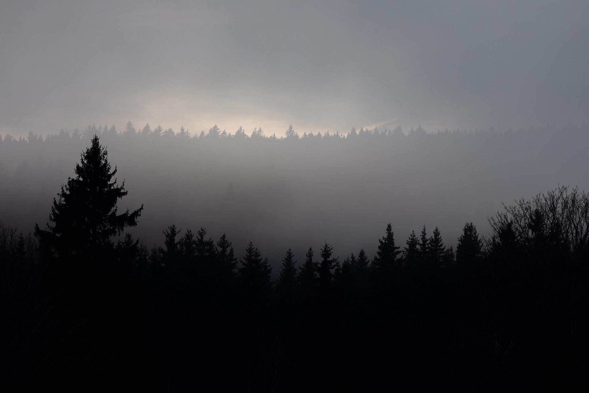 Isolated tree silhouette within misty mountain ridge landscape – fine art photography