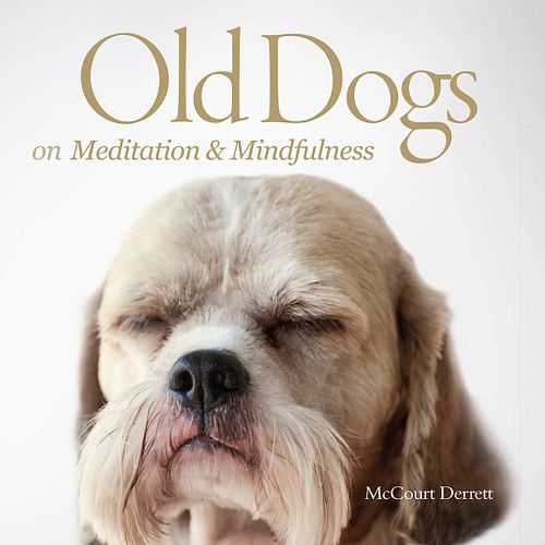 Old Dogs on Meditation & Mindfulness