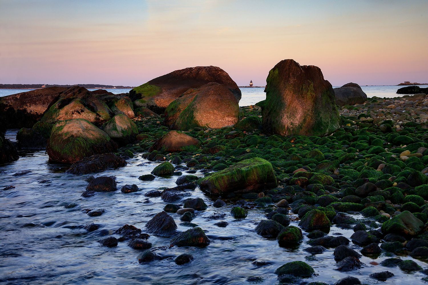 ALISON PERRY PHOTOGRAPHY