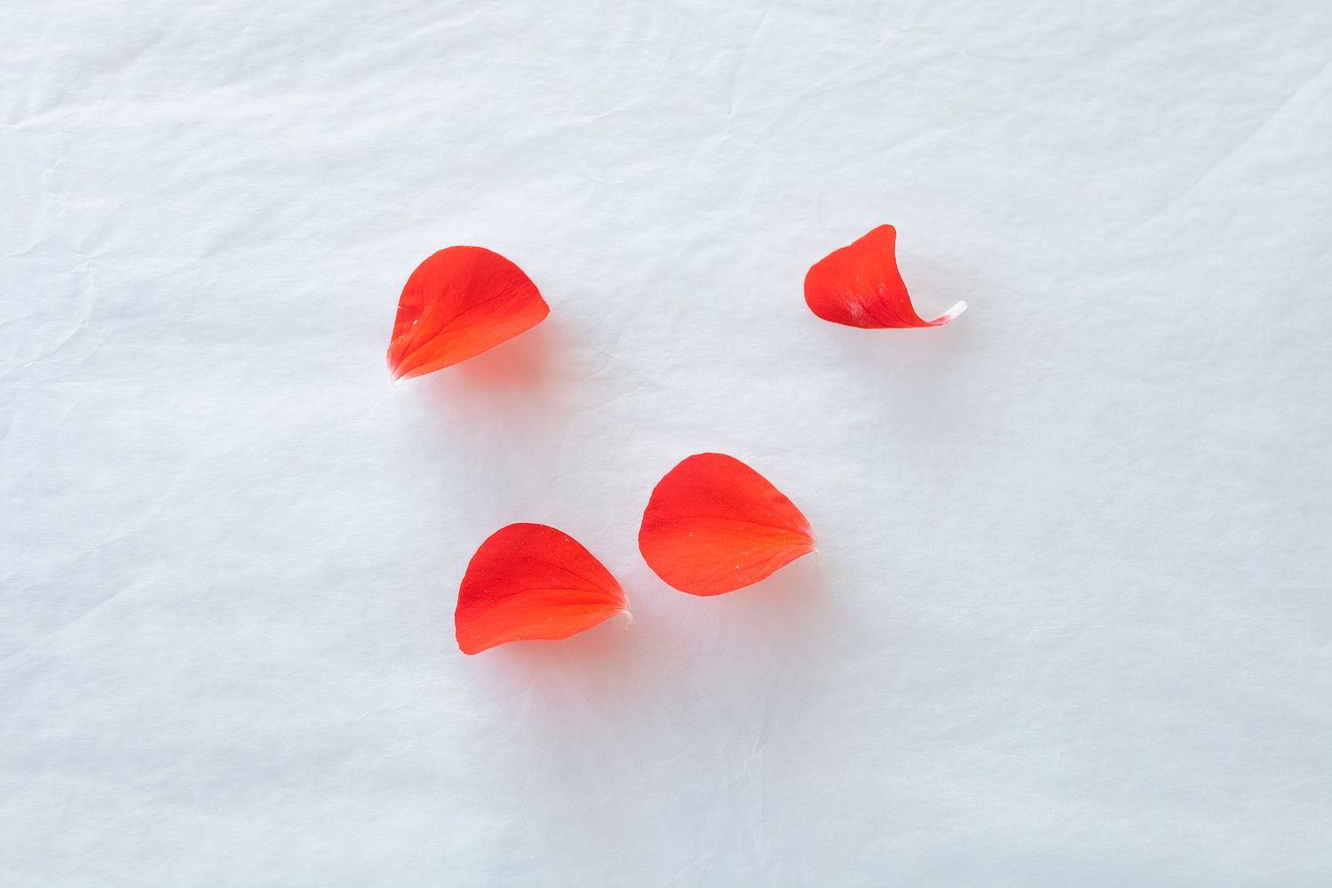 José Javier González