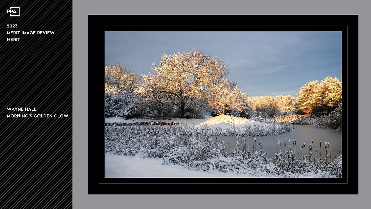 WALL Photography & Design