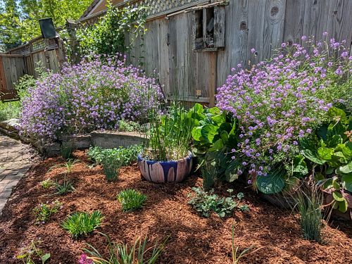 Services by the Hour