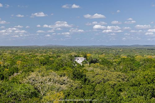 Maya-Stätte Calakmul