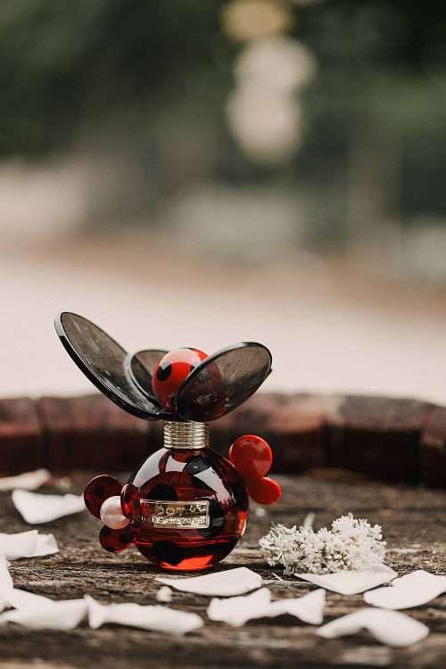 Chalk and Cheese Photography