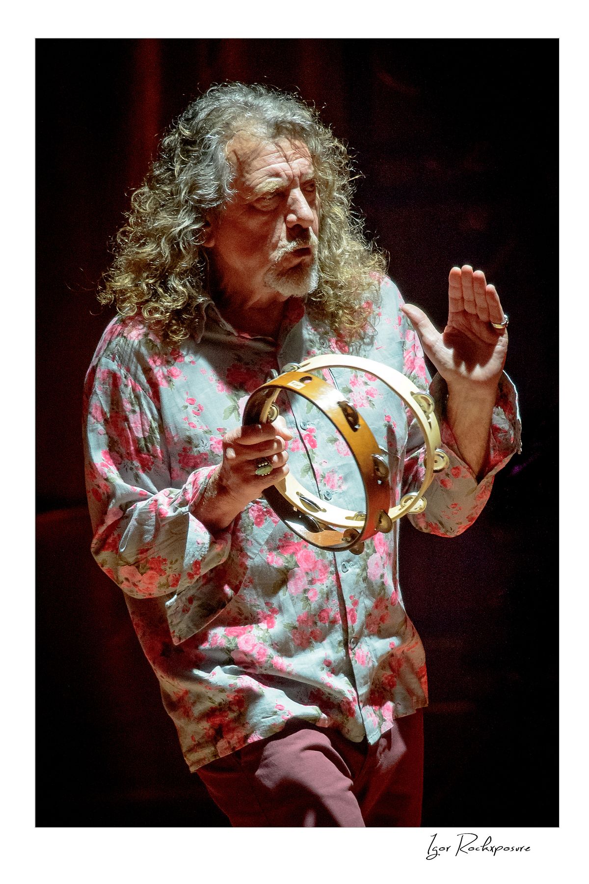 Vertical concert photography of Robert Plant holding a tambourine while singing on stage under warm concert lighting during a live performance