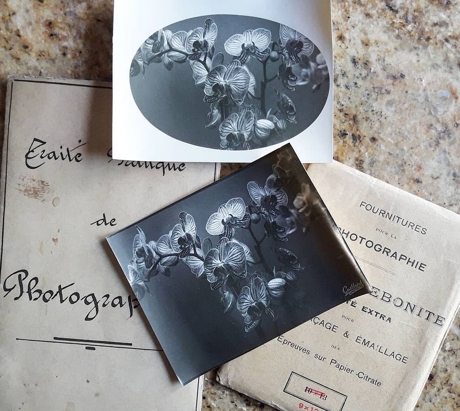 Caill'Art Photographie