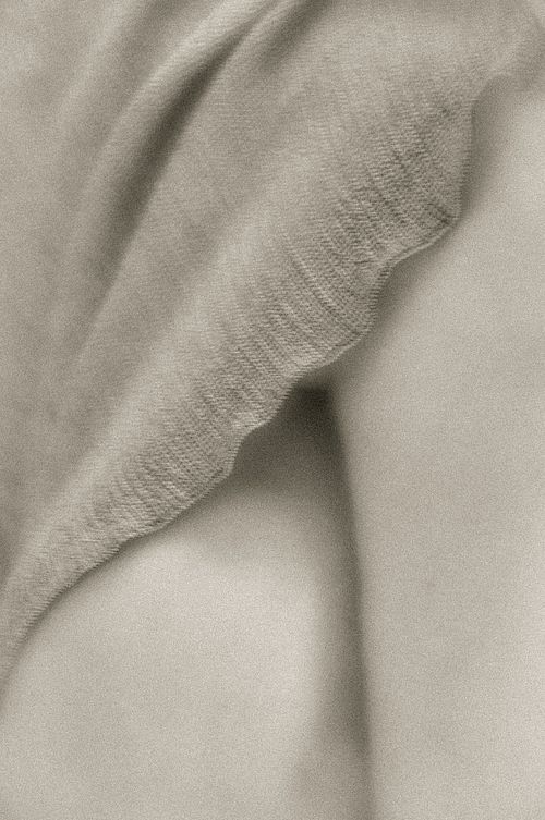 #woman #body #body detail