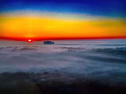 Fog-Kissed Sunrise