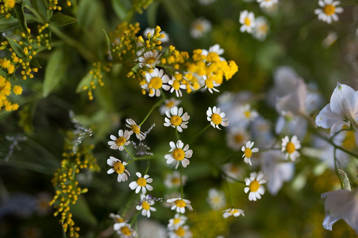 fotografo matrimonio Sardegna allestimenti Tratalias