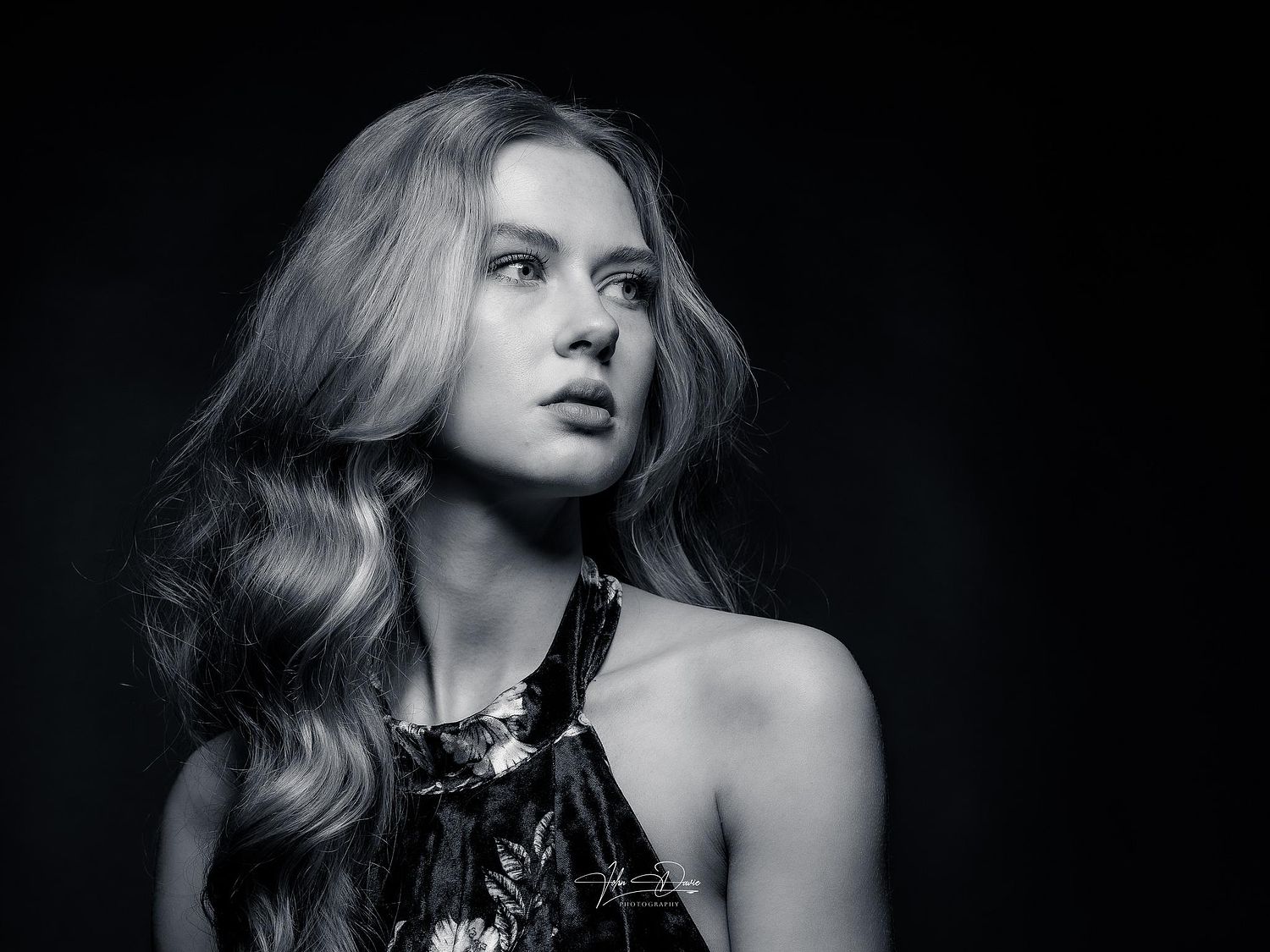 John Davie Photography