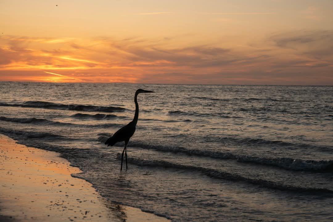 Gordon Images - Master Photographer