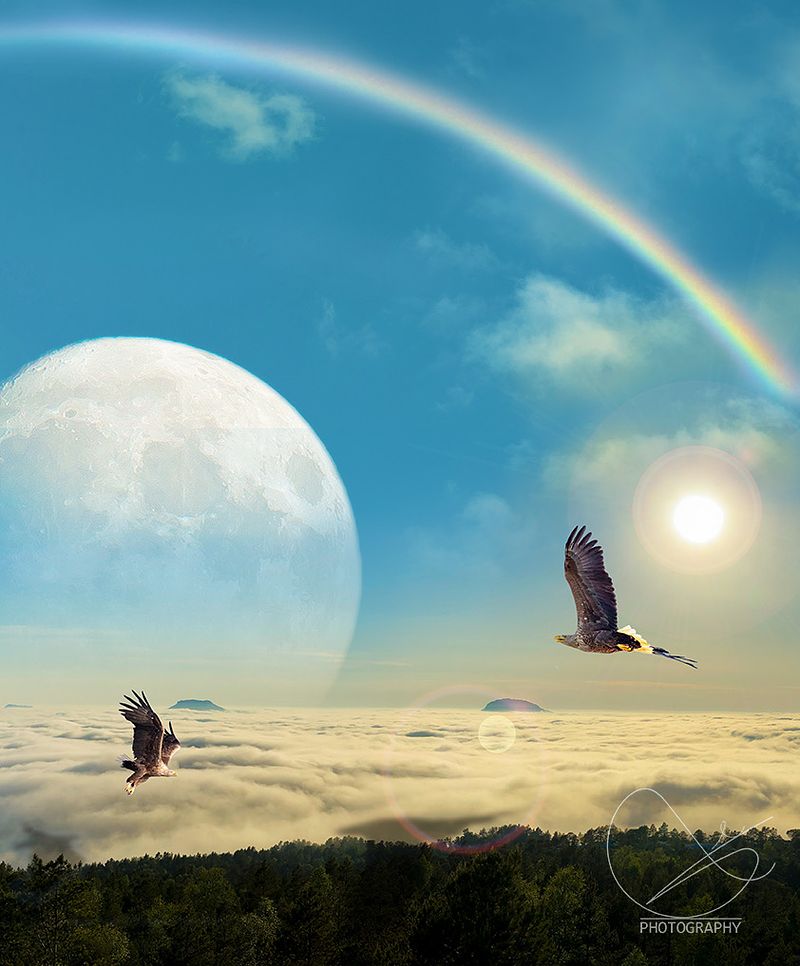 Studioet opner kl 13 måndag.