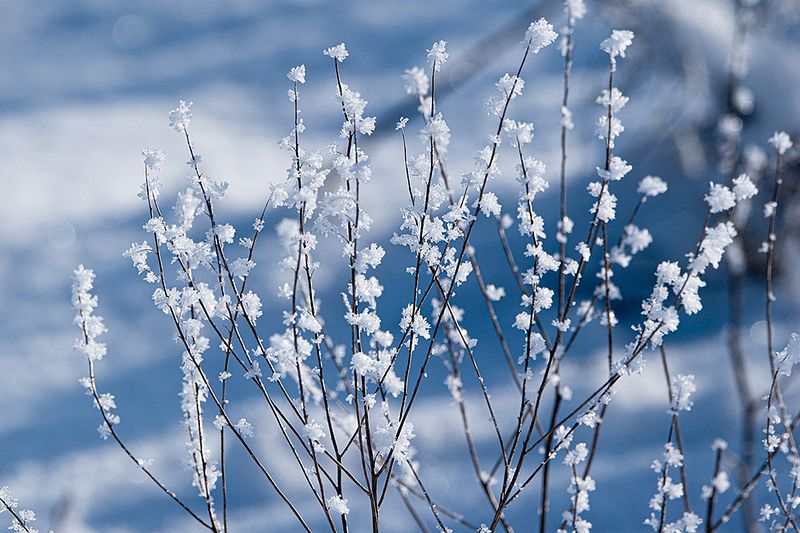 Saabuv nädalavahetus oli külma lainel.