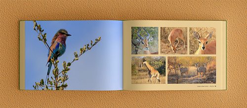 Double-page spread of the photobook showing a full-bleed bird photo on the left page and five balanced photos of various animals, including deer species and a giraffe, on the right.