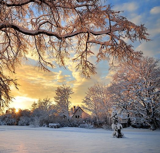 Consejos de fotografía de invierno