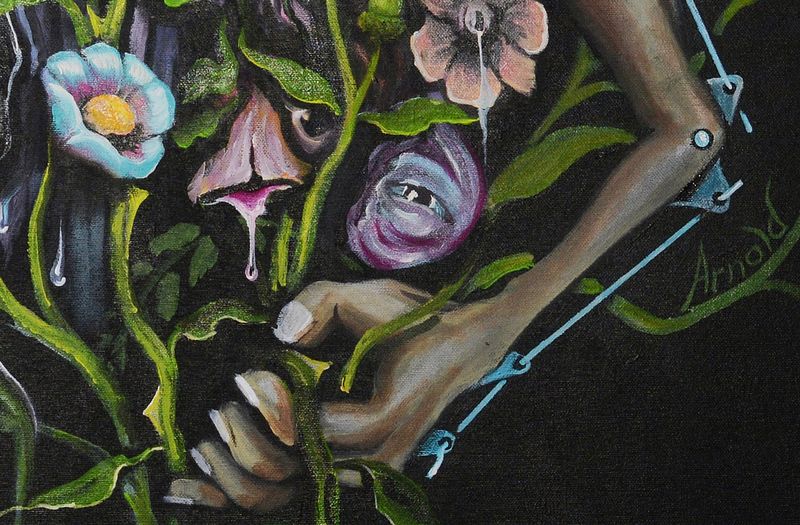 Arnold Janssen - Camouflage