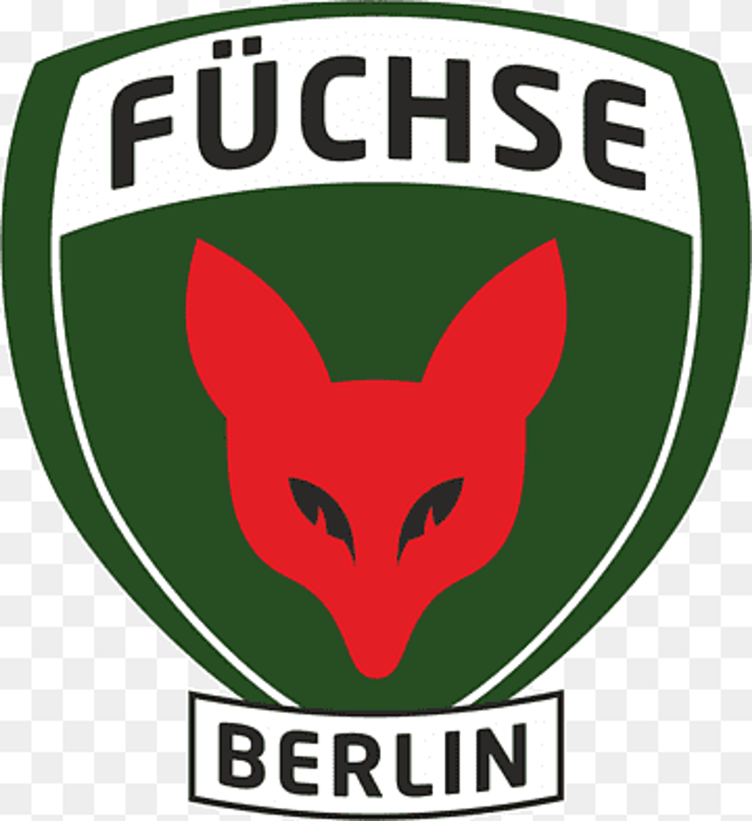 Band 1: WO IST FUCHSI? - Das offizielle Kinderbuch der F&uuml;chse Berlin