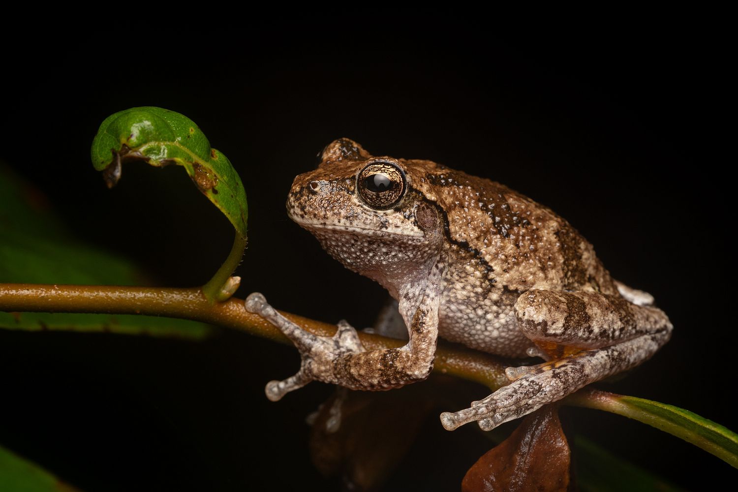 John Mauser Photography