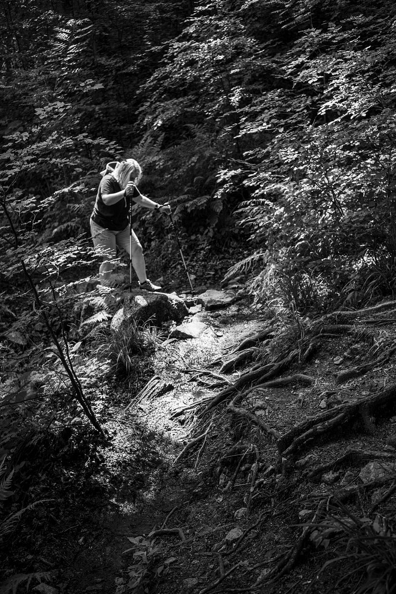 Ballon d' Alsace - PHOTO Basel